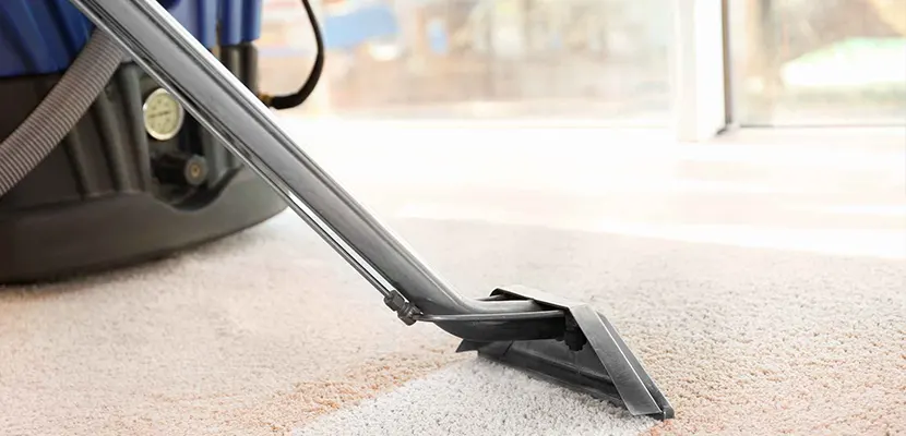 Learn How To Care For Your Carpet - Blog