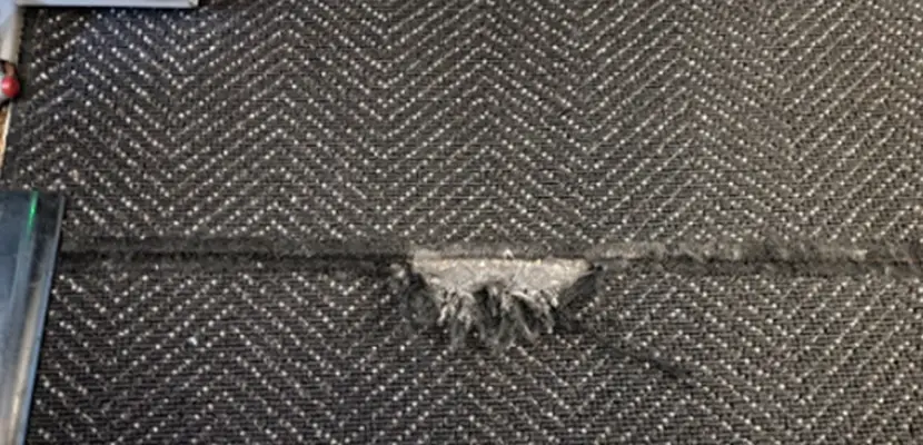 5 Reasons That Your Carpet Needs Replacement - Blog