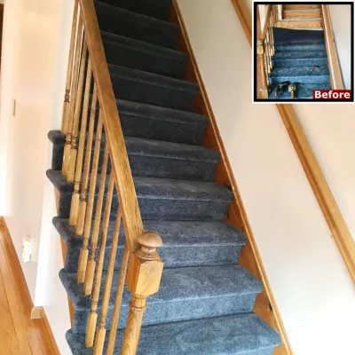 Get Inspired By Our Latest Carpet Installation Projects